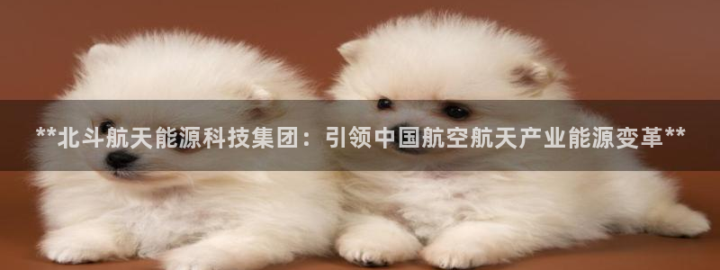 申博手机网址