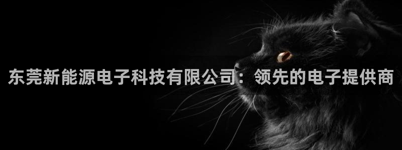 sunbet官网登录首页