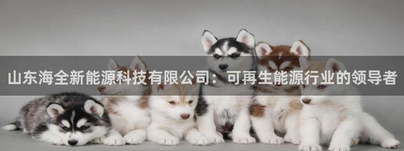 sunbet手机版官网下载