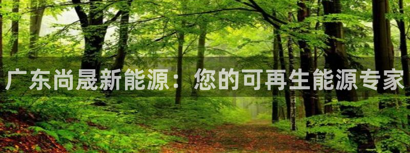 sunbet官网开户登录手机版