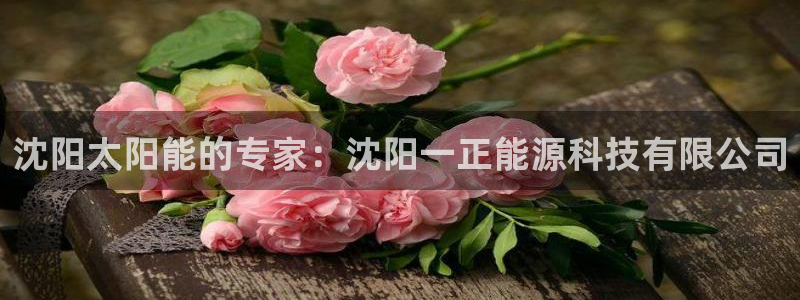 sunbet手机网页版下载