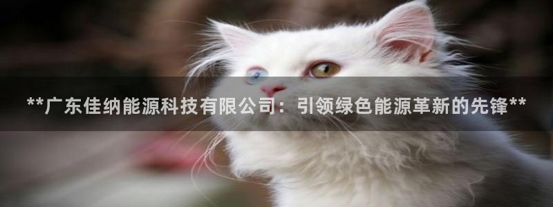 申博app下载