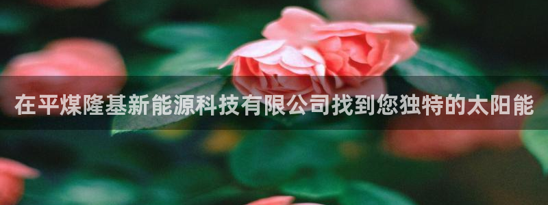 sunbet游戏最新版
