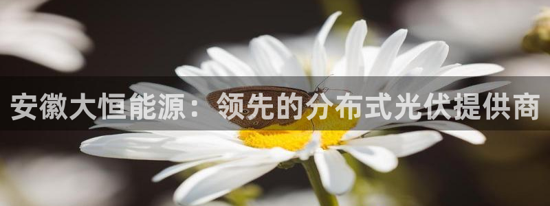 sunbet手机网页版下载