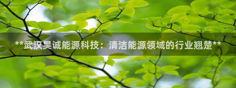 申慱sunbet手机版登