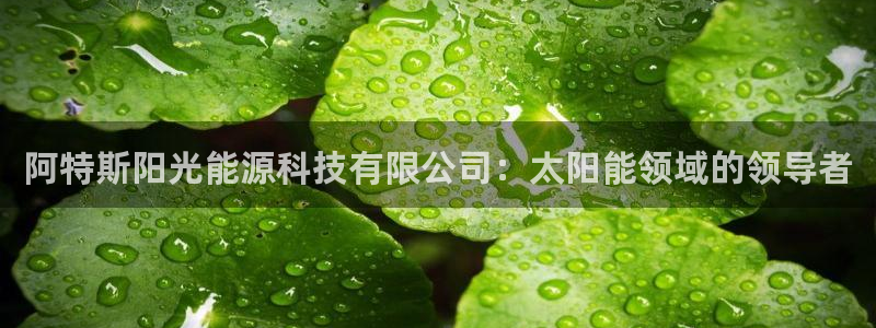 sunbet中国官网