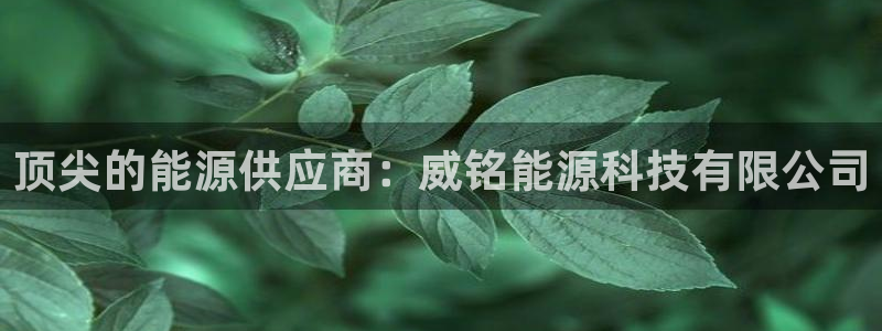 sunbet苹果app