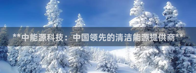 申博官网电脑版下载