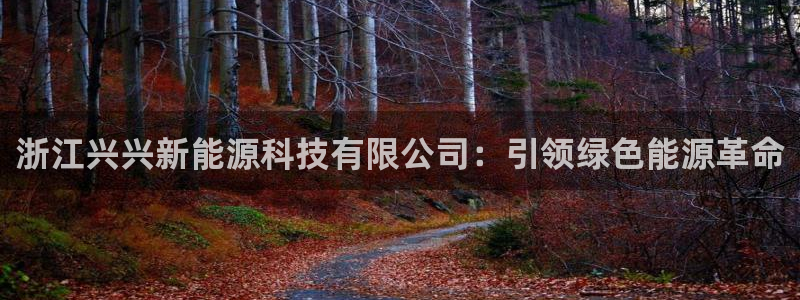 申博手机版官网