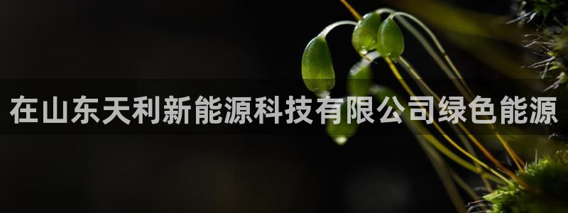 sunbet燃气灶