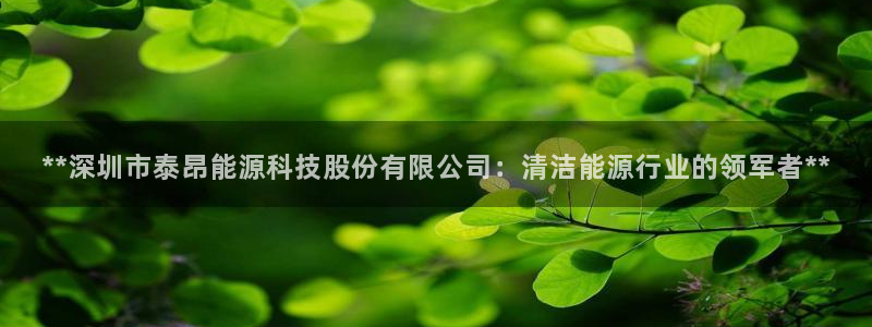 申博官方网站手机版下载