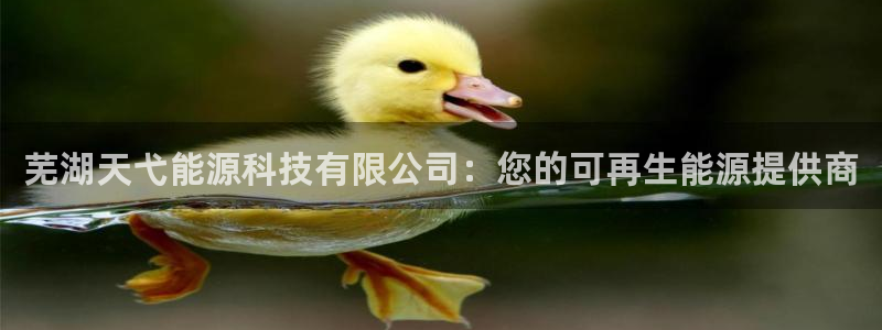 sunbet游戏地址