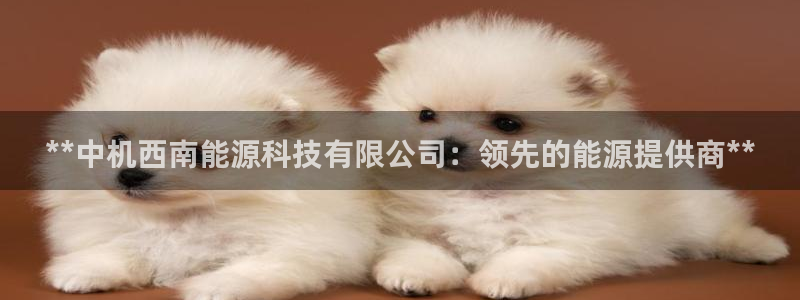 sunbet苹果app