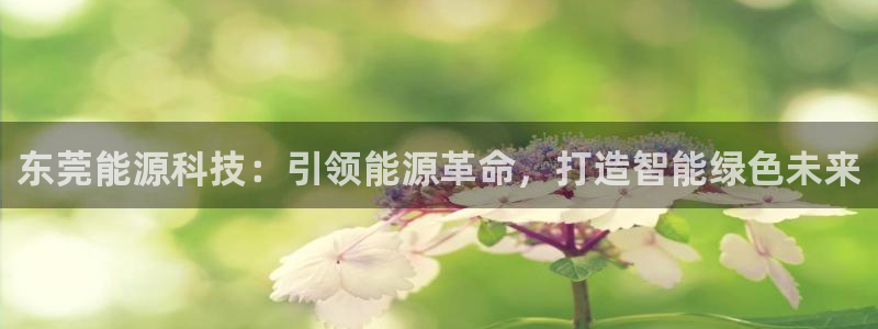 申博官方网站手机版下载