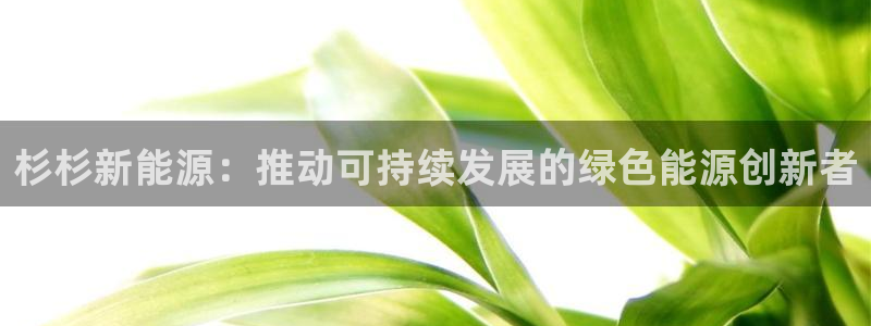 sunbet程序