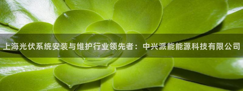 sunbething怎么读