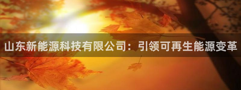 sunbet手机端