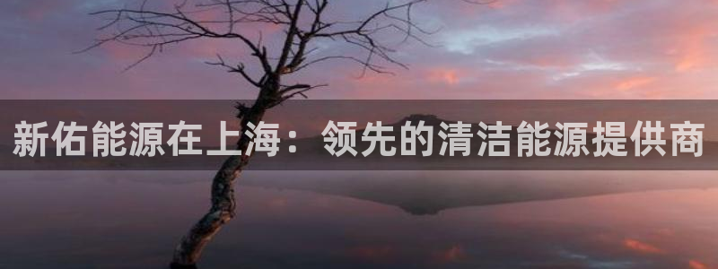 sunbet官网代理下载