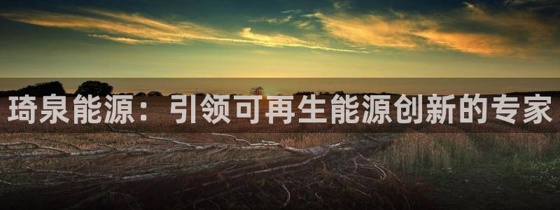 sunbet手机网页版