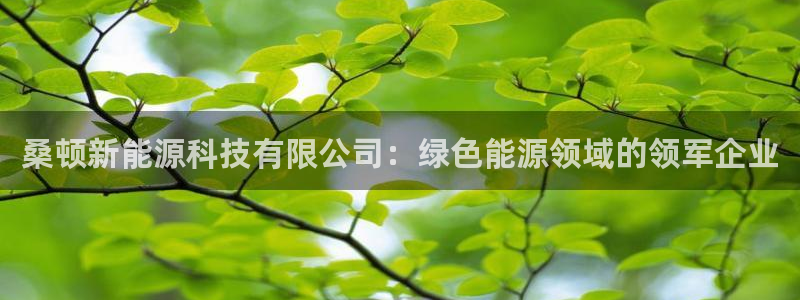 申博官网手机客户端
