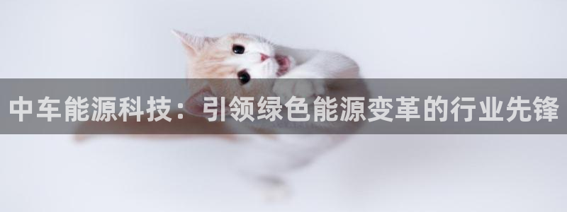 sunbething怎么读
