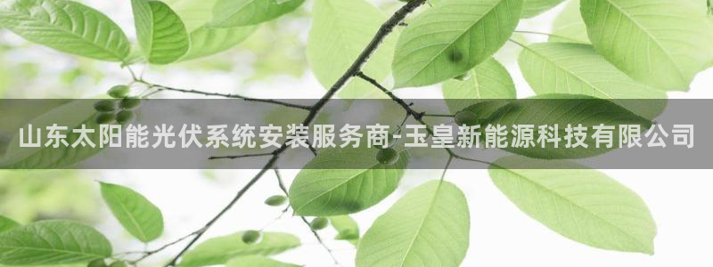 sunbething怎么读