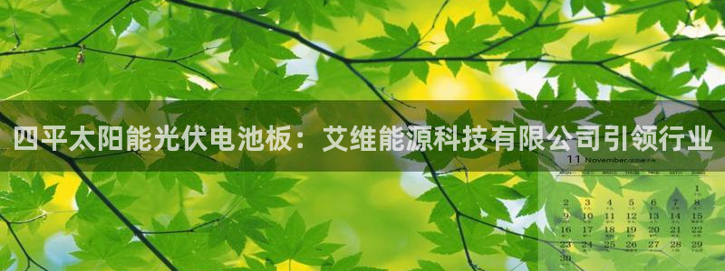 sunbet英语翻译
