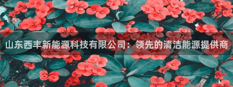 sunbet英语翻译