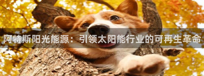 sunbet官网开户登录手机版
