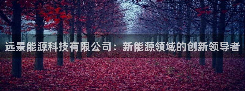 sunbet源码
