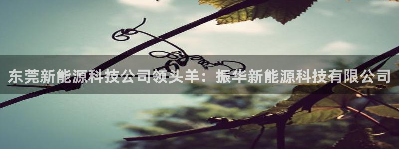 sunbet申搏官网