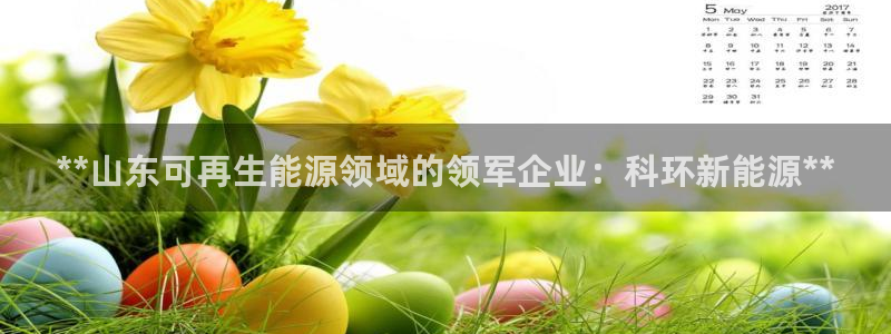 sunbet最新消息