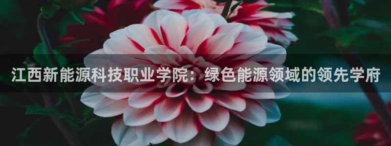 sunbet首页登录入口