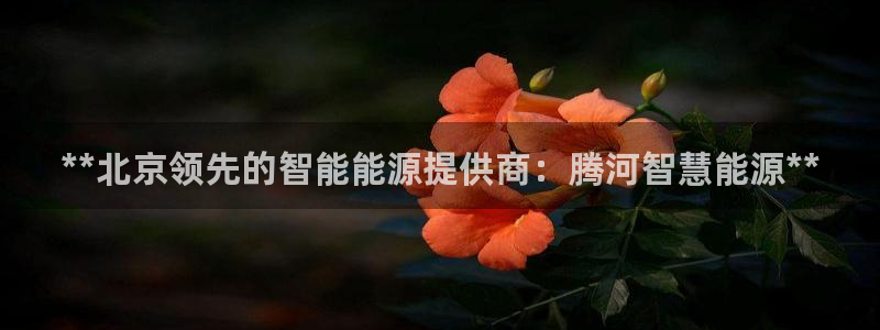 申博官方网站手机版下载
