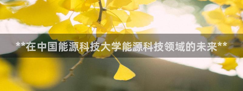 sunbet申搏官方网站