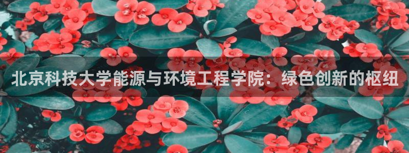 申博手机版app下载