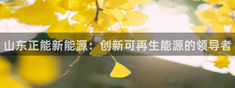 申博官网手机客户端