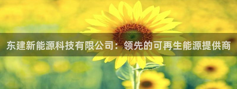 sunbet官网手机版