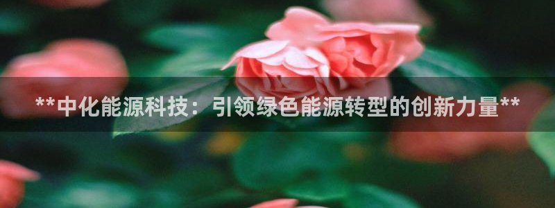 申博官方网址