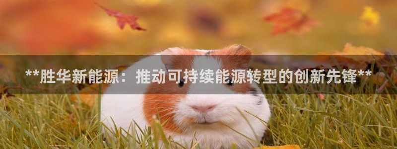 sunbething怎么读
