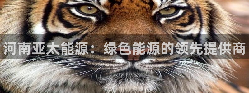 sunbet苹果app