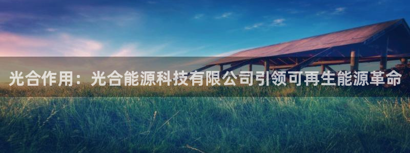 sunbet手机版官网下载