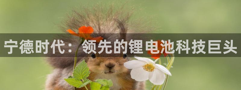 sunbet最新登陆