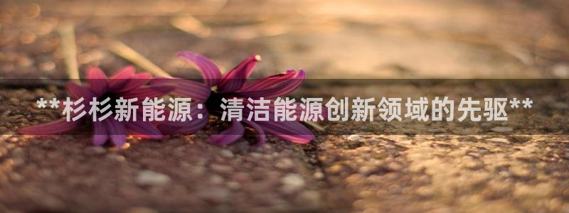 申博手机版官网