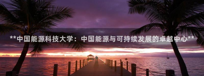 sunbet最新消息