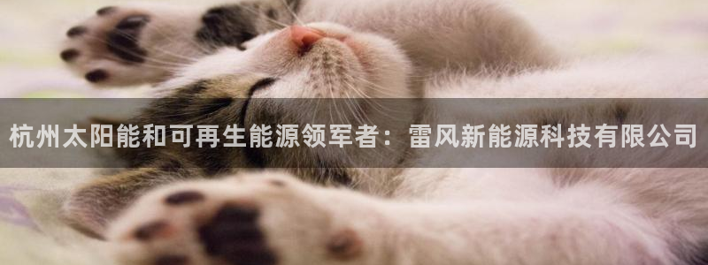 申博app下载