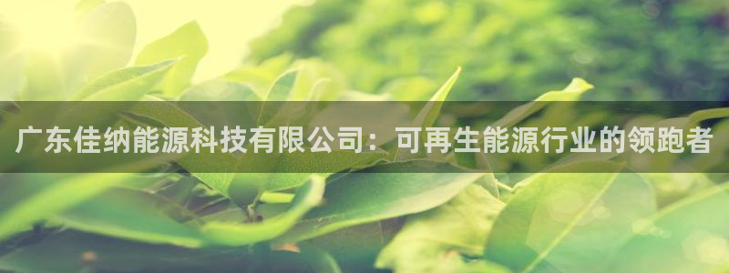 sunbet源码
