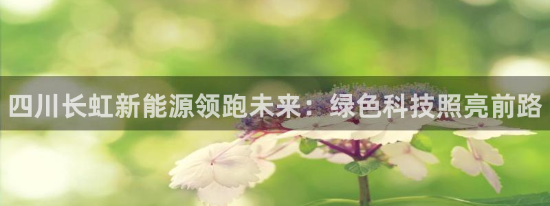 申博手机网站