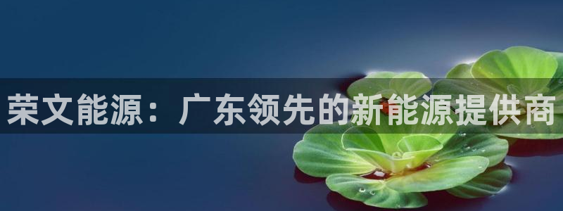 申博官网电脑版下载