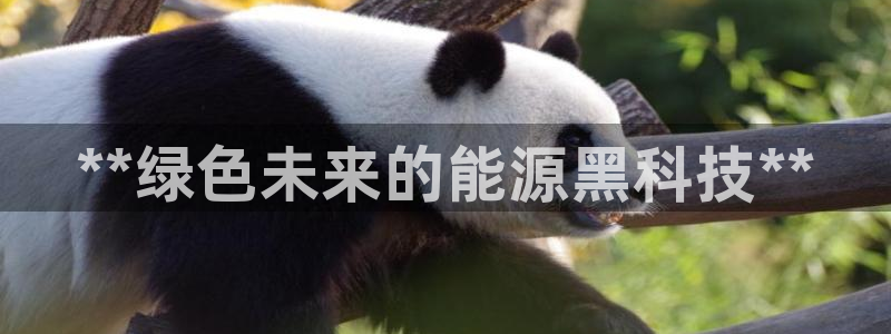 sunbet官网手机版